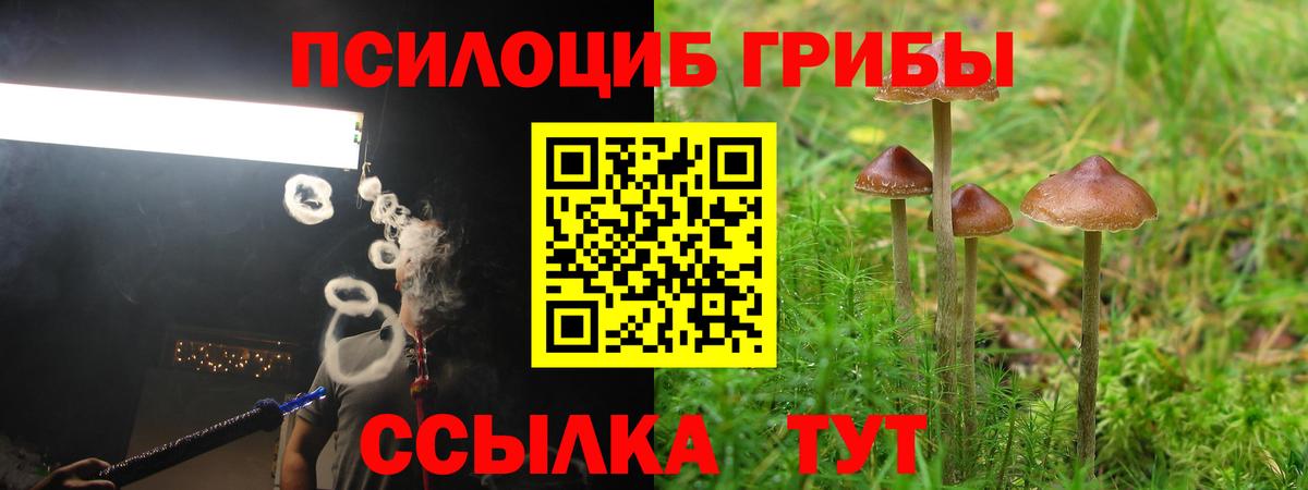 Галлюциногенные грибы Cubensis Коряжма
